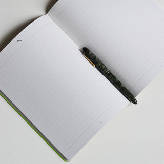 Parakeet Notebook