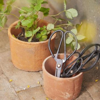 Medium Garden Scissors