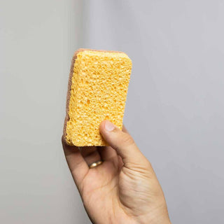 Plant Based Dish Sponge