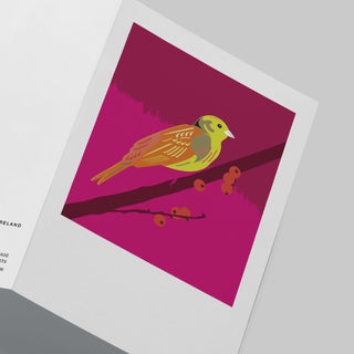 Pawpear Greeting Card Yellowhammer