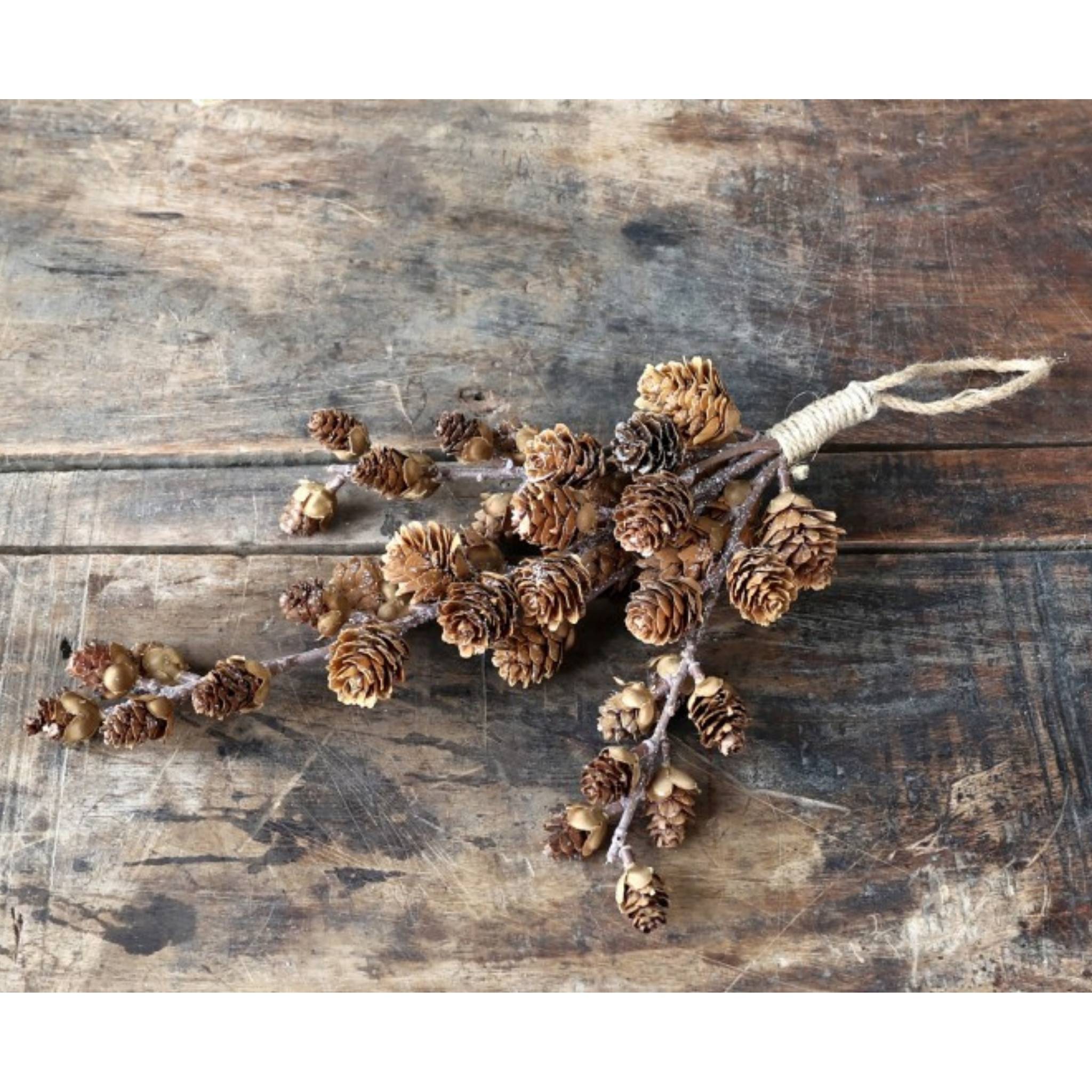 Fleur Branch with Pine Cones for hanging