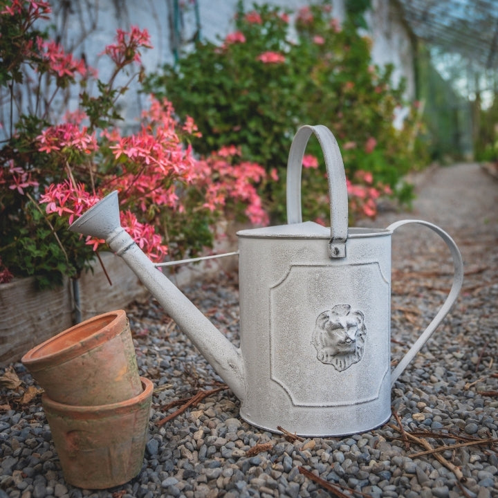 zinc watering can with lion motif design