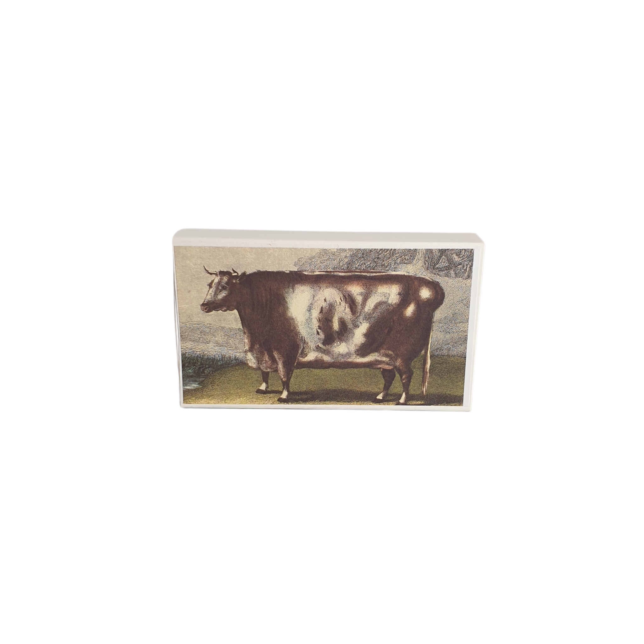 Cow Box of Matches